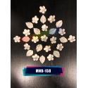 Minyatür Mine Çiçeği MNB-158