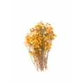 Epoksi Reçine Süsleme Sarı Kuru Çiçek Cipso