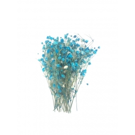 Epoksi Reçine Süsleme Mavi Kuru Çiçek Cipso