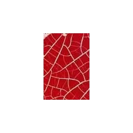 Renkli Çatlatma Kırmızı (70ml.+120ml) C-1003
