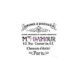 Home Decor (Duvar) Stencıl 45*45 cm HD-28