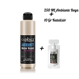 AMBİANTE SUYA DAYANIKLI BOYA METALİK AWM-02 PLATİN 250 ML