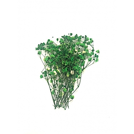 Epoksi Reçine Süsleme Yeşil Kuru Çiçek Cipso