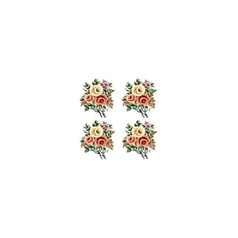 Gülsün Ülkü 17*25 G-31