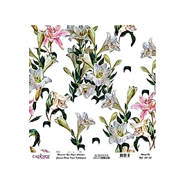 Model UC011 Evrensel Pirinç Kağıt Koleksiyonu 30x32