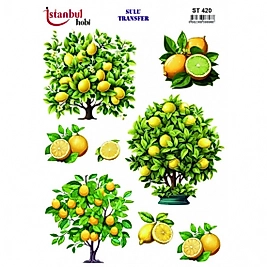 ST 420 25X35 SULU TRANSFER