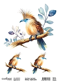 Cadence Kuşların Şarkısı Kolay Transfer BRET-07