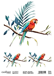 Cadence Kuşların Şarkısı Kolay Transfer BRET-01