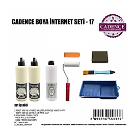 CADENCE MULTİSURFACE BOYA SET-17