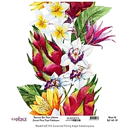 Model UC145 Evrensel Pirinç Kağıt Koleksiyonu 90x92