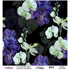 Model UC024 Evrensel Pirinç Kağıt Koleksiyonu 30X32