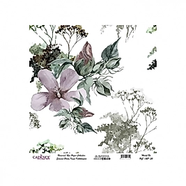 Model UC027 Evrensel Pirinç Kağıt Koleksiyonu 60x62