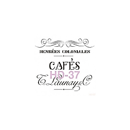 Home Decor (Duvar) Stencıl 45*45 cm HD-37