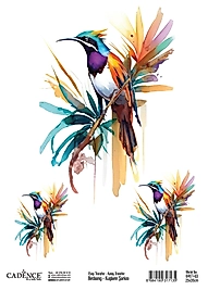 Cadence Kuşların Şarkısı Kolay Transfer BRET-03