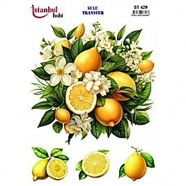 ST 429 25X35 SULU TRANSFER