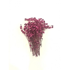 Epoksi Reçine Süsleme Mor Kuru Çiçek Cipso