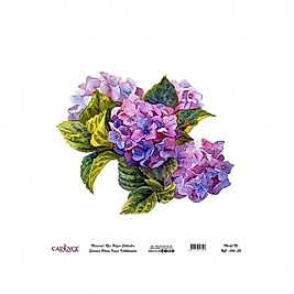 Model UC016 Evrensel Pirinç Kağıt Koleksiyonu 60x62