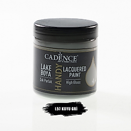 Cadence Handy Lake Boya L57 Koyu Gri (250ml)