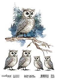 Cadence Kuşların Şarkısı Kolay Transfer BRET-08