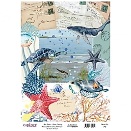 Model 792 Deniz Koleksiyonu Cadence Pirinç Dekopaj Kağıdı 30x42cm