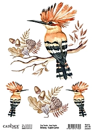 Cadence Kuşların Şarkısı Kolay Transfer BRET-06