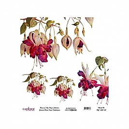 Model UC030 Evrensel Pirinç Kağıt Koleksiyonu 90x92