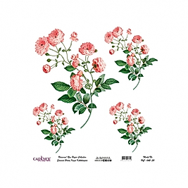 Model UC042 Evrensel Pirinç Kağıt Koleksiyonu 90x92