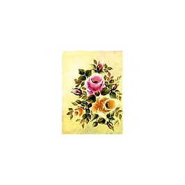 Gülsün Ülkü 17*25 G-12