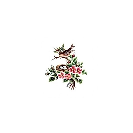 Gülsün Ülkü 17*25 G-101